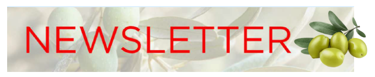 Screenshot 2025-12-04 143421