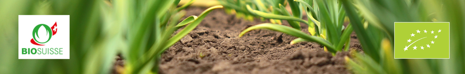 Design ohne Titel(1)